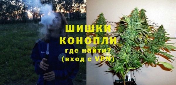 стаф Вязьма