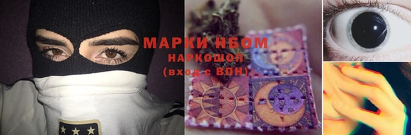 гидра Вяземский