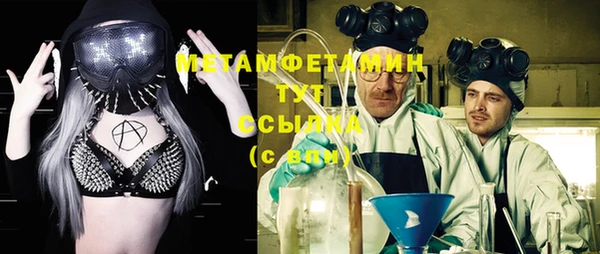 гидра Вяземский