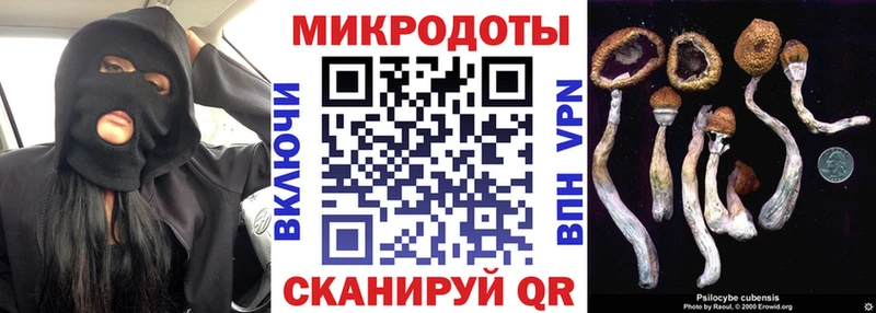 Галлюциногенные грибы Cubensis  Купить где  Гудермес 
